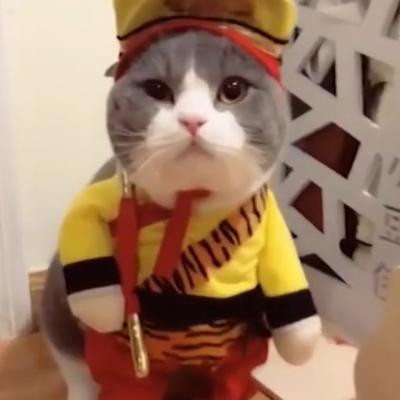 Meet the Posher Other - Meet your Posher, Lynn